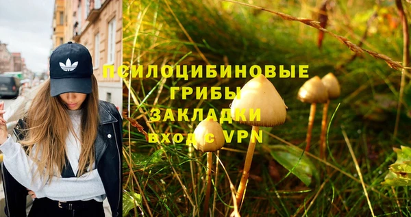 МДМА Переславль-Залесский